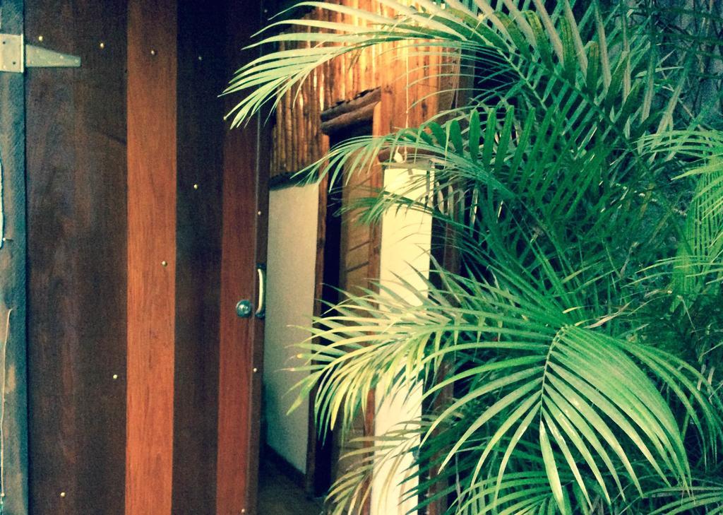 Canto Do Buganville Vila do Abraao ภายนอก รูปภาพ